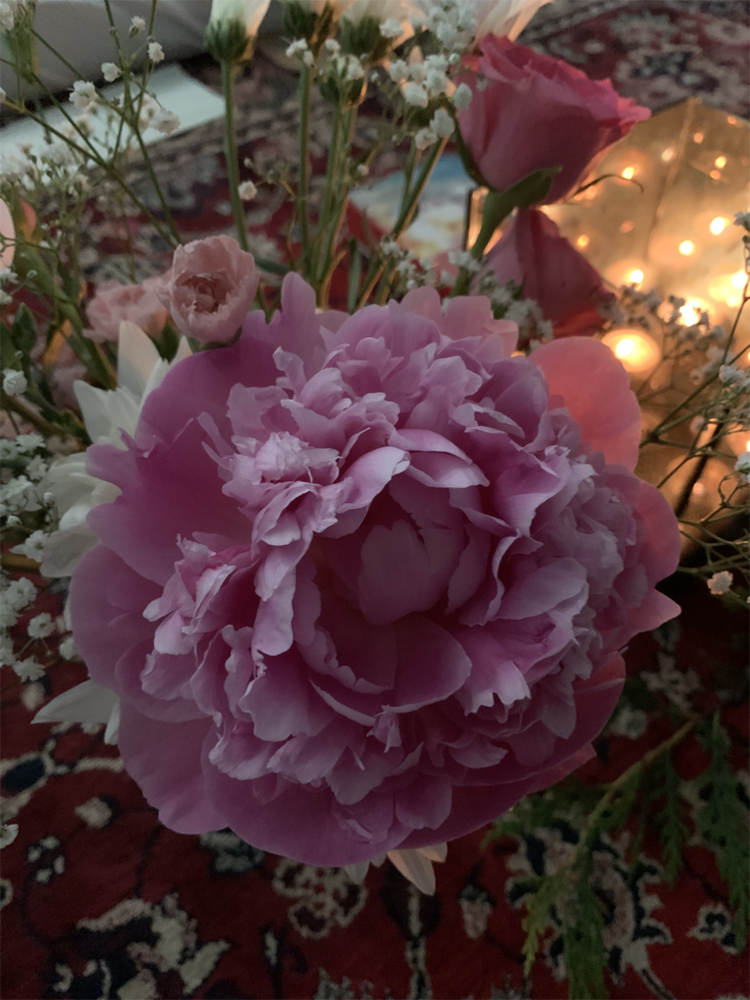 IMG_3869.png