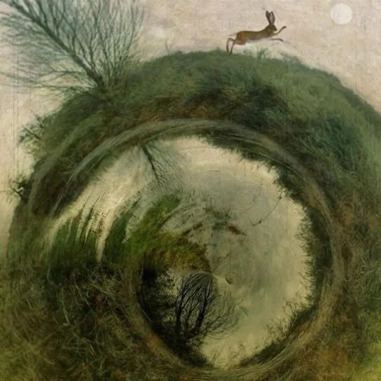&ldquo;Another world is not only possible, she is on her way. On a quiet day, I can hear her breathing.&rdquo;

&mdash; Arundhati Roy

Artwork: Song for a green world, by Sarah Jarrett 

#regeneration #healing #arundhatiroy #sarahjarrett