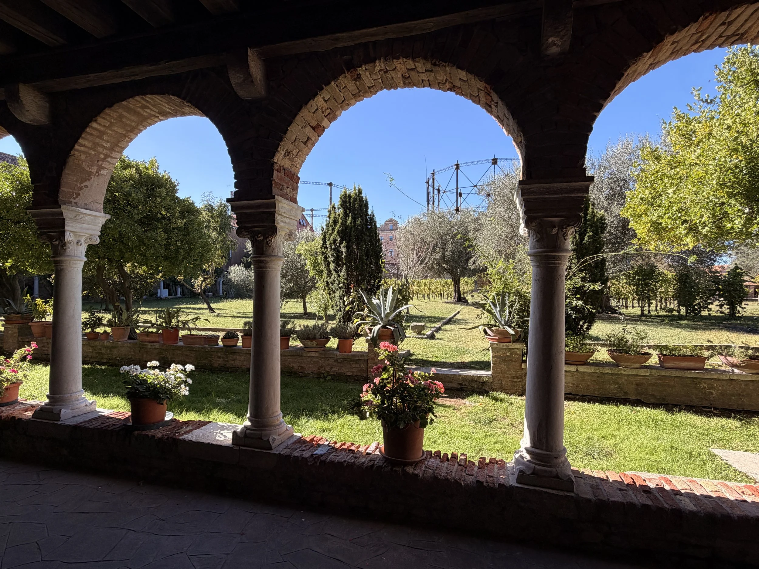 I always walk my guests past the crowds to Venice's oldest vineyard