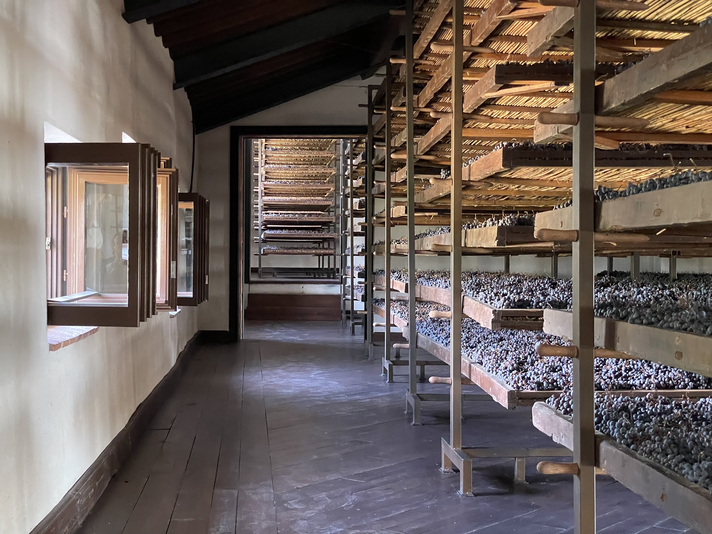 On the Arele, a Memory of Silk: Appassimento as Valpolicella's Living Cultural Heritage