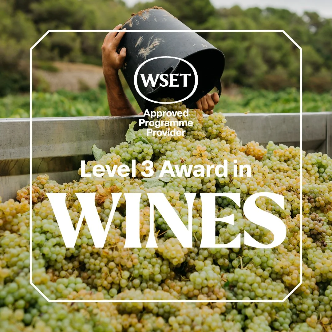 WSET Level 3 Award in Wines