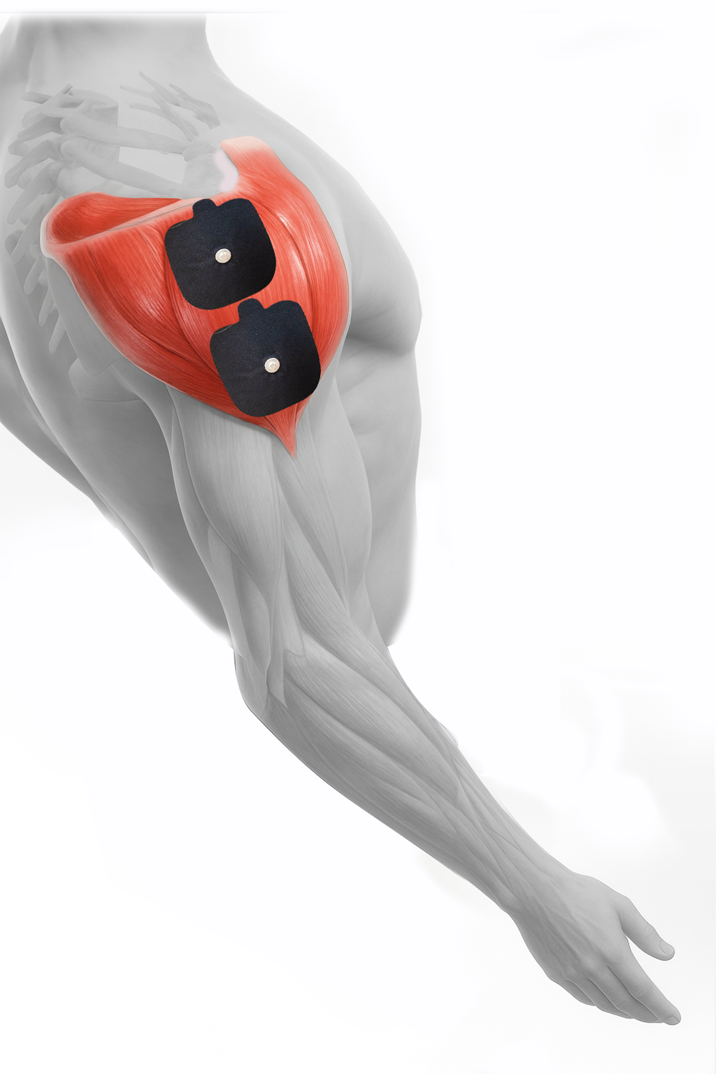 Shoulder_Abduction.png