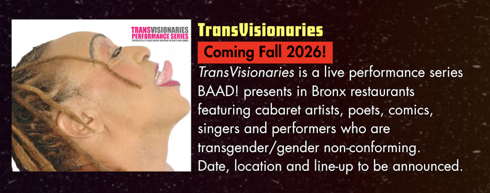 TransVisionaries