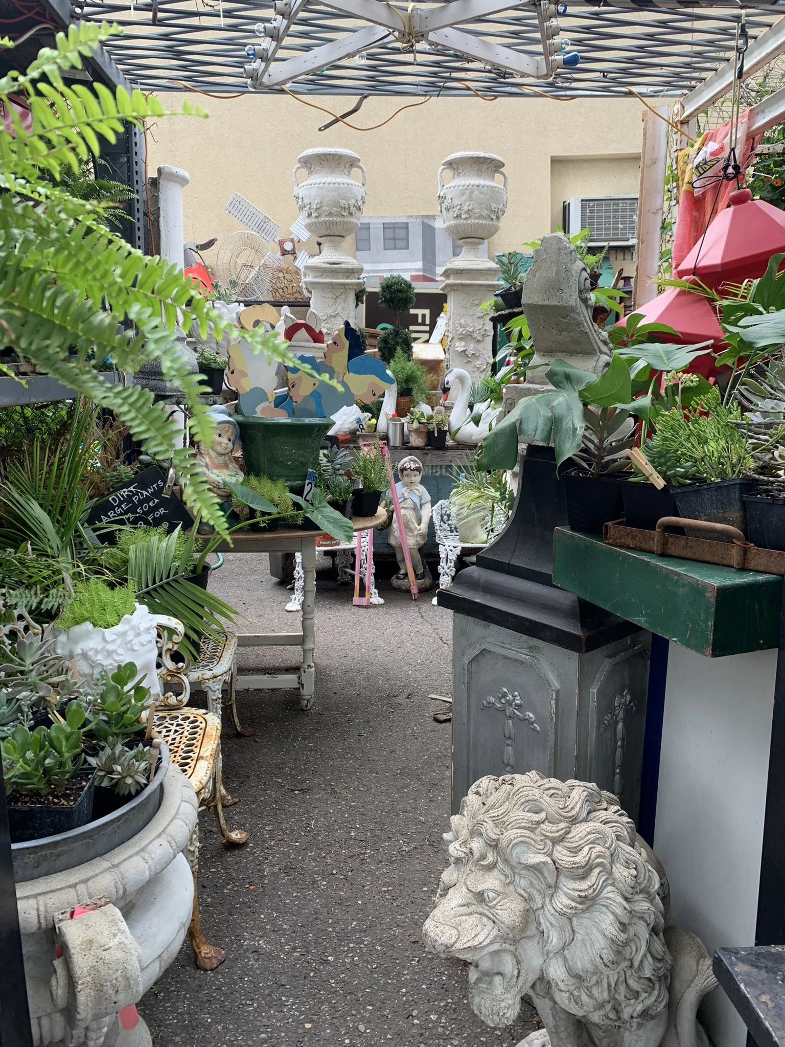 IMG_9371.JPEG