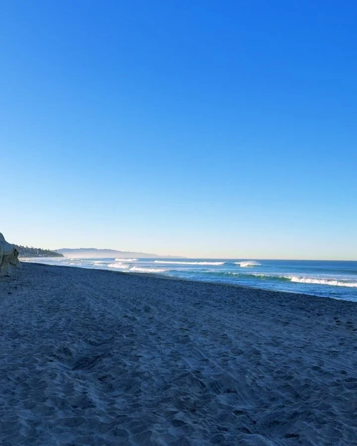 I&rsquo;m opening a small container for a few healers and artists who are tending their work (growing their brand), their edges (relationship with money), and what&rsquo;s unfolding next.

For 45 days, we&rsquo;ll move slowly and honestly&mdash;
prac