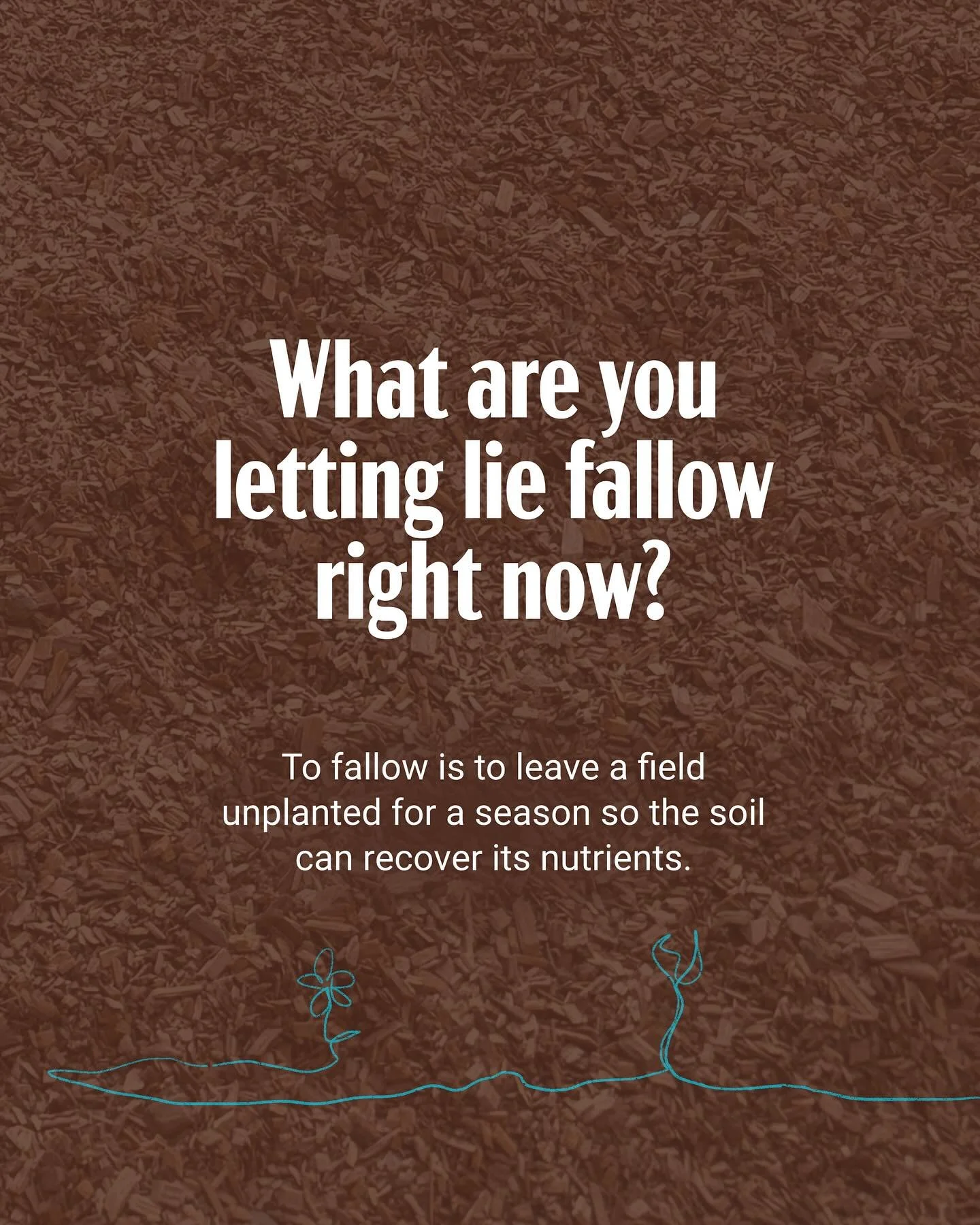 What are you letting lie fallow right now?

〰️

after this season, [Feb 18, 2026] my solidarity rates/exchanges for design are changing.

This helps us slow down (rest),
plan (leave the immediacy of scarcity),
and rise (ready ourselves)
for what come