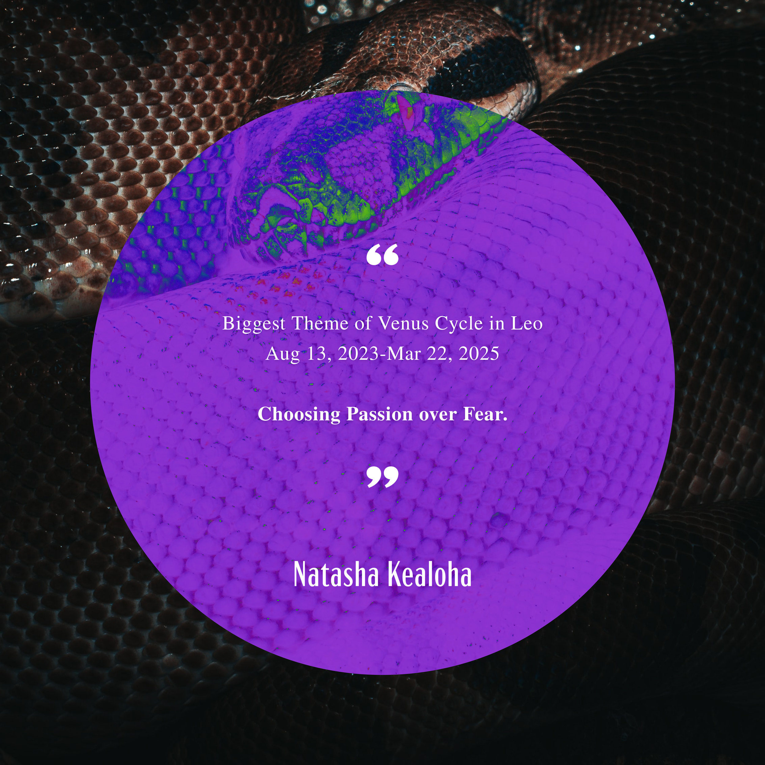 HPF IG - Quotes - AOE – 20.png