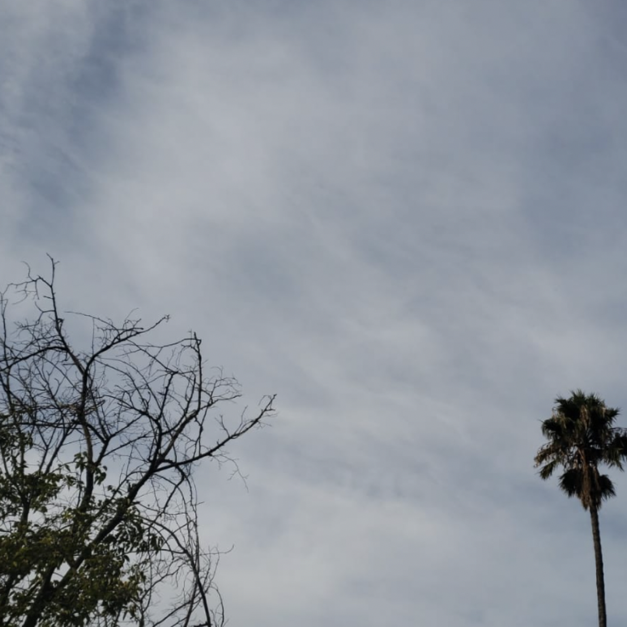 HPF IG - Quotes - AOE – 14.png