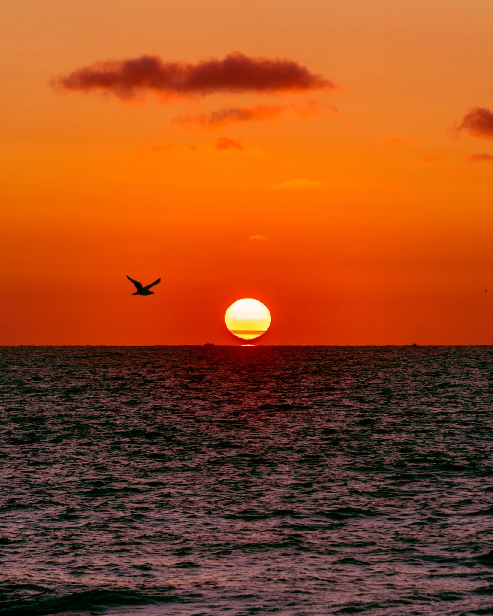 SUN00002.jpg
