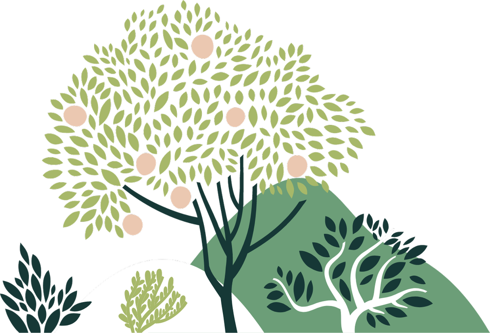 One Community Health Primary Health Care Center Washington & Oregon