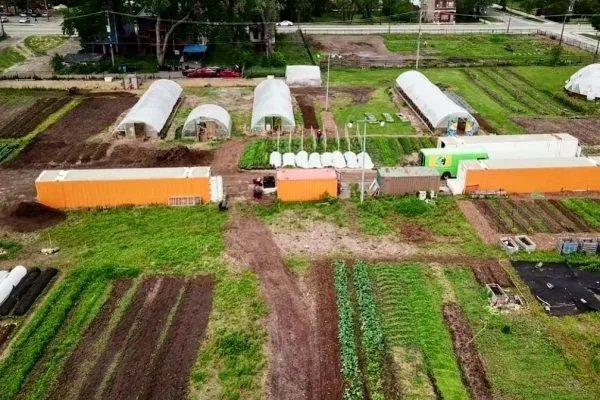 What you need to know about LECA!, Urban Green Farms, South Yarra