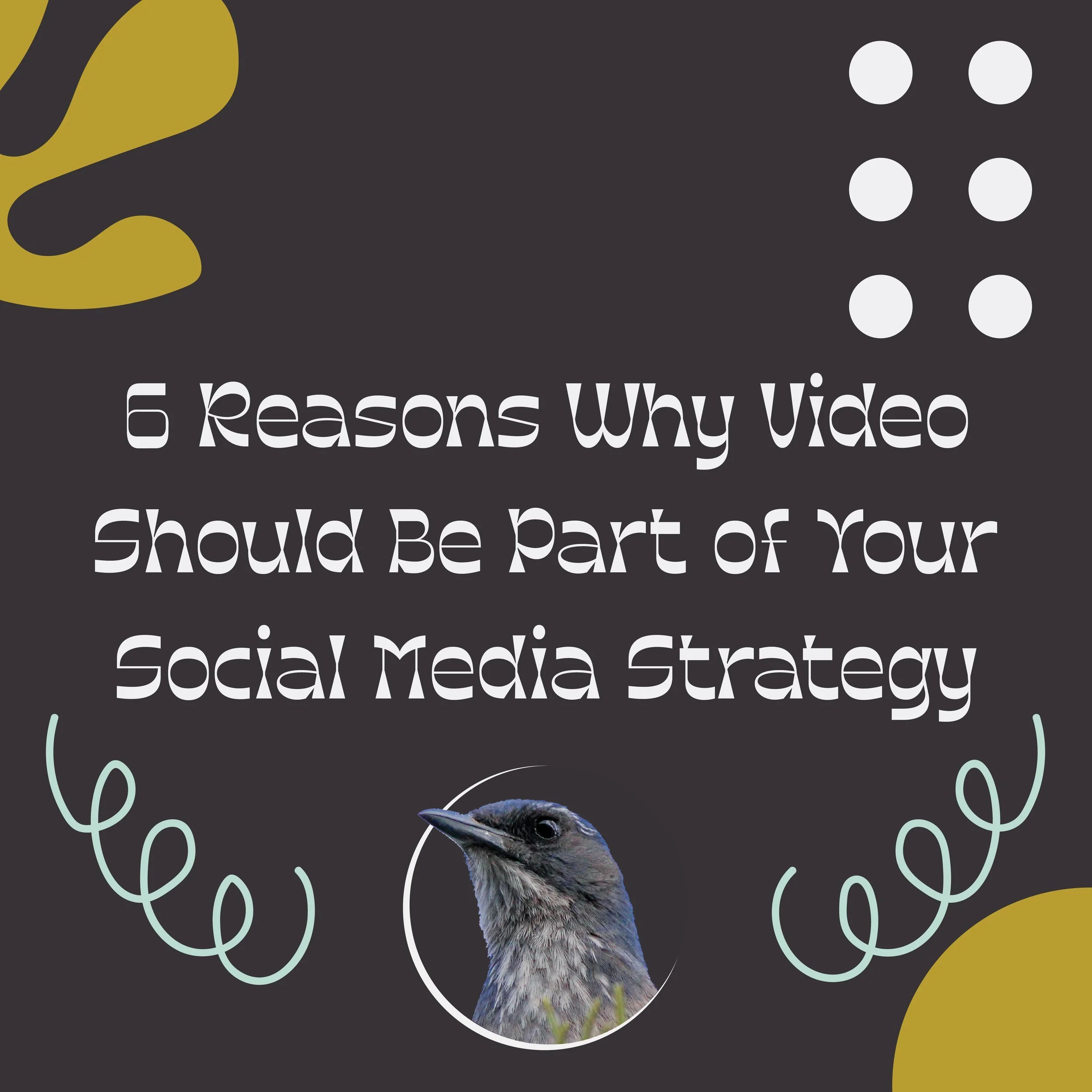 Why Video Should Be Part of Your Social Media Strategy