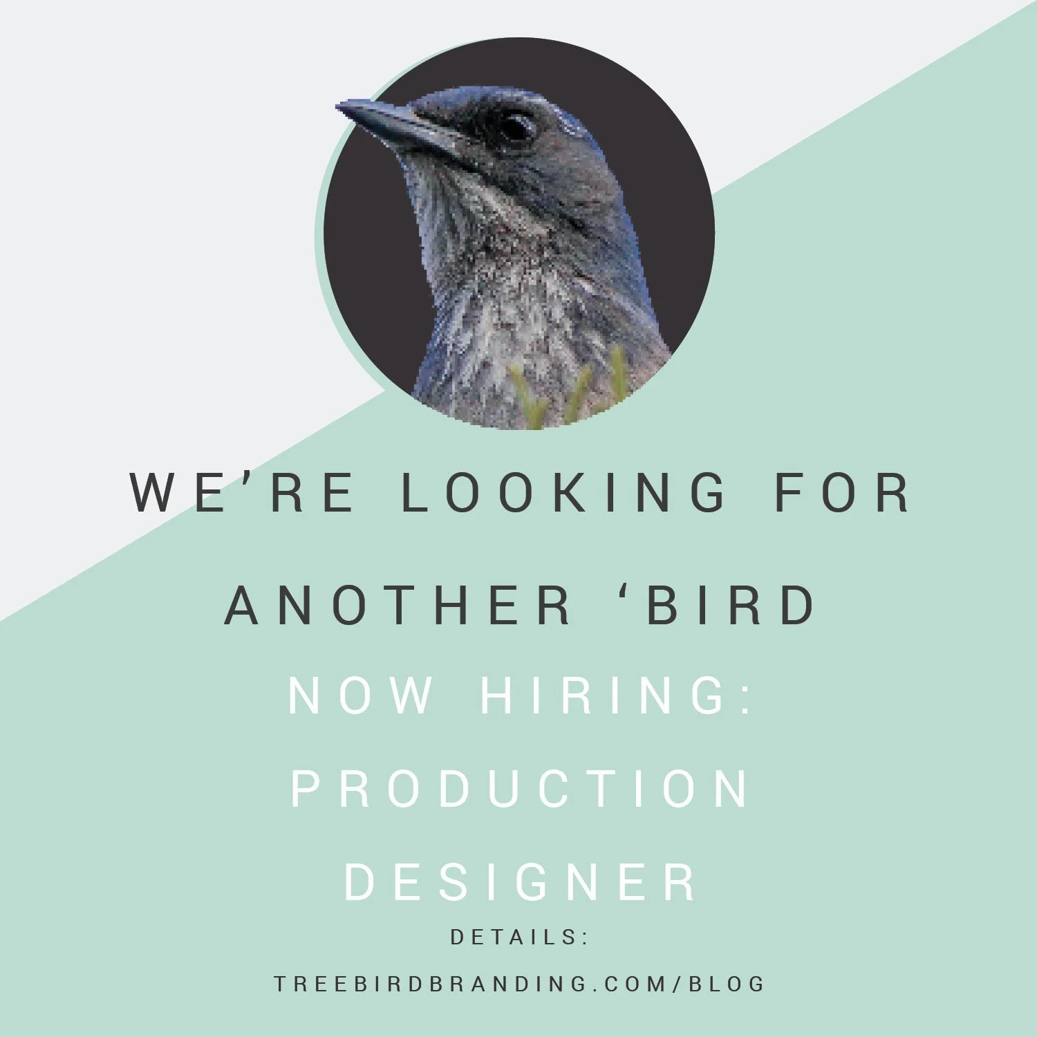 We're Hiring: Production Designer