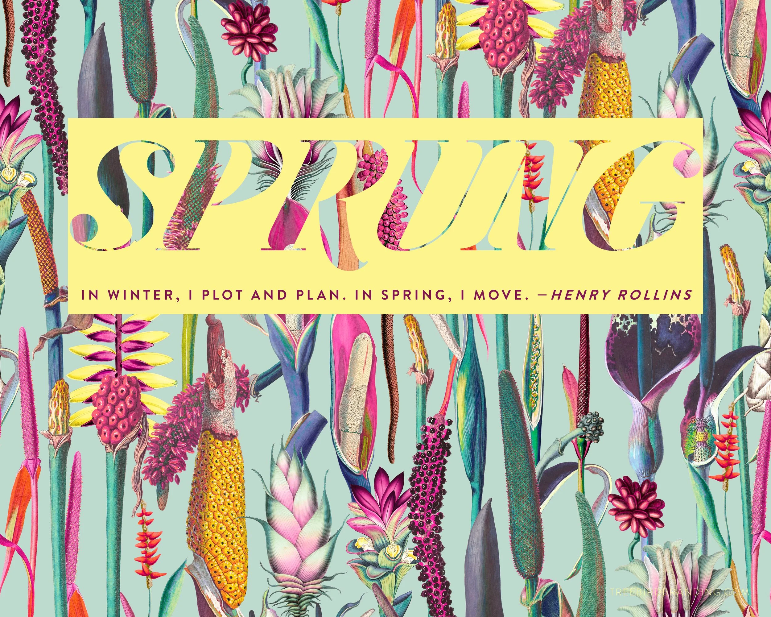 Sprung, April Free Download 