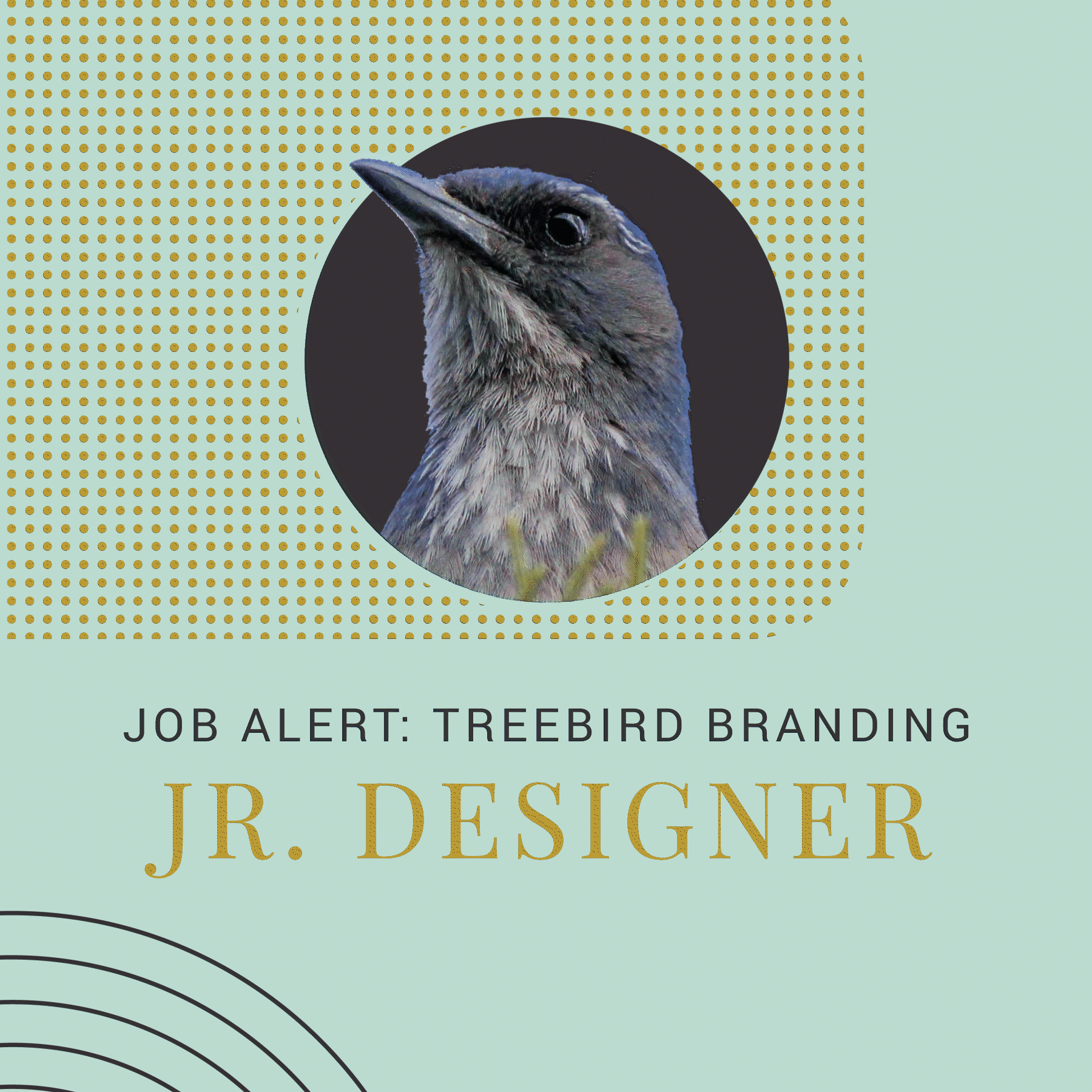 We're Hiring: Jr Designer
