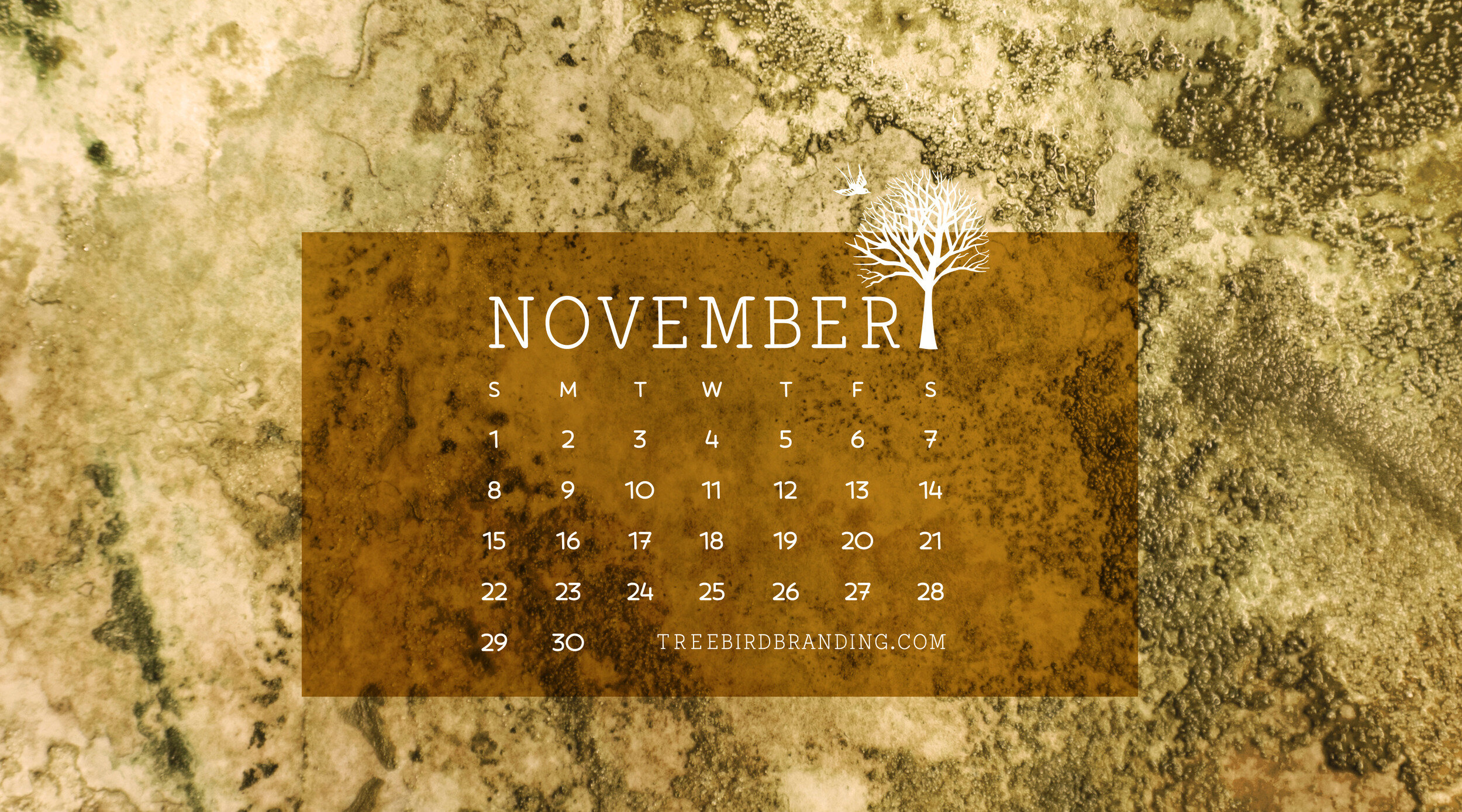 Page 5  Free and customizable november templates