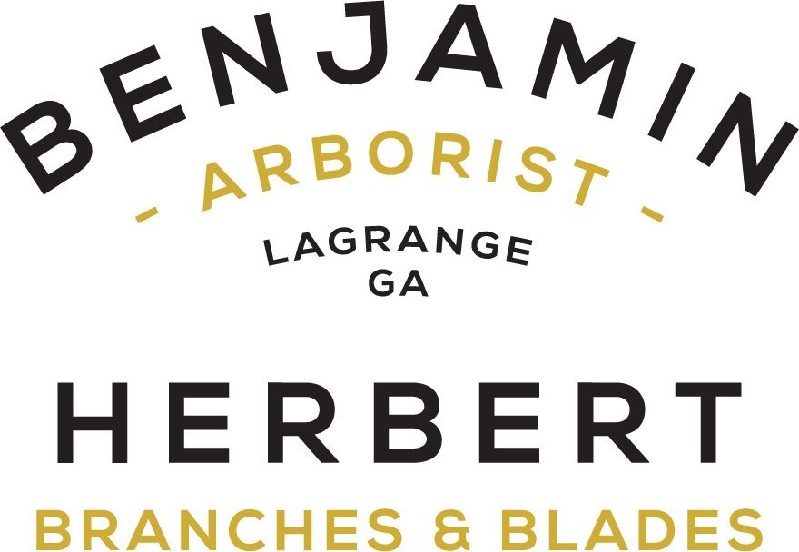 Benjamin Herber Arborist-logotype-b&y.jpg