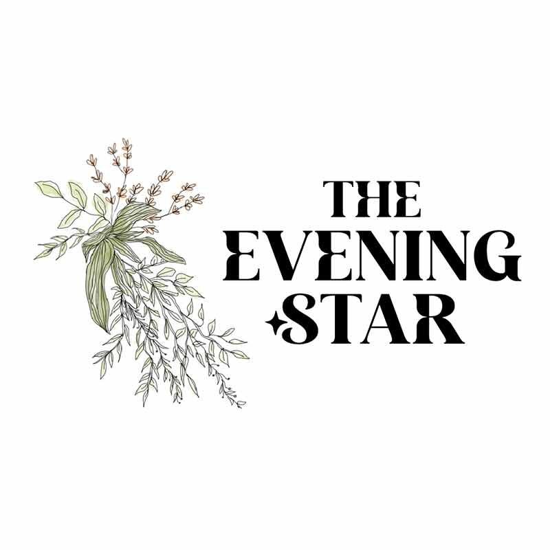 The Evening Star logo