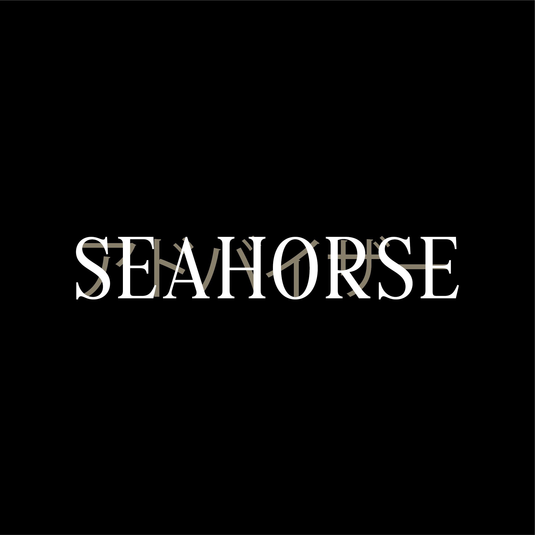 1224-sa-case study_seahorse.jpg