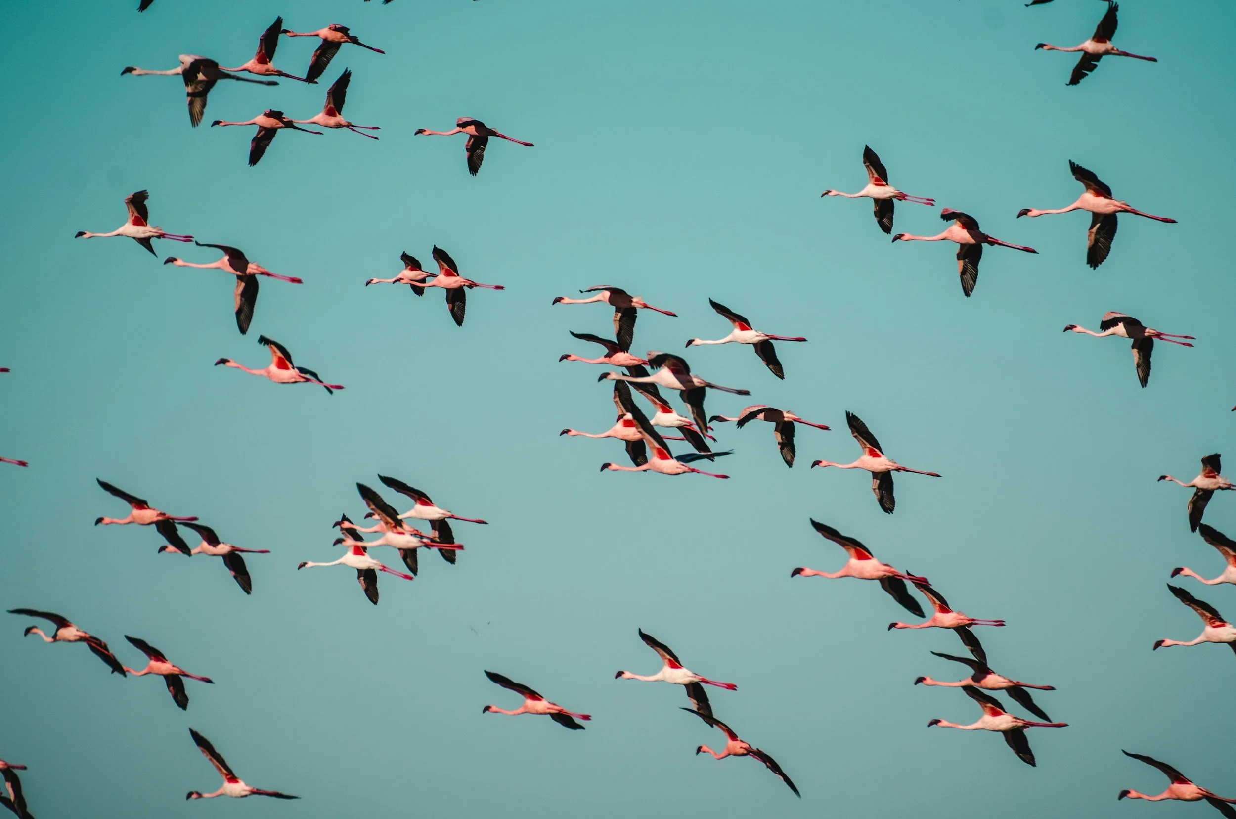 When Is It Time to Rebrand? 10 Signs Your Business Has Outgrown Its Brand