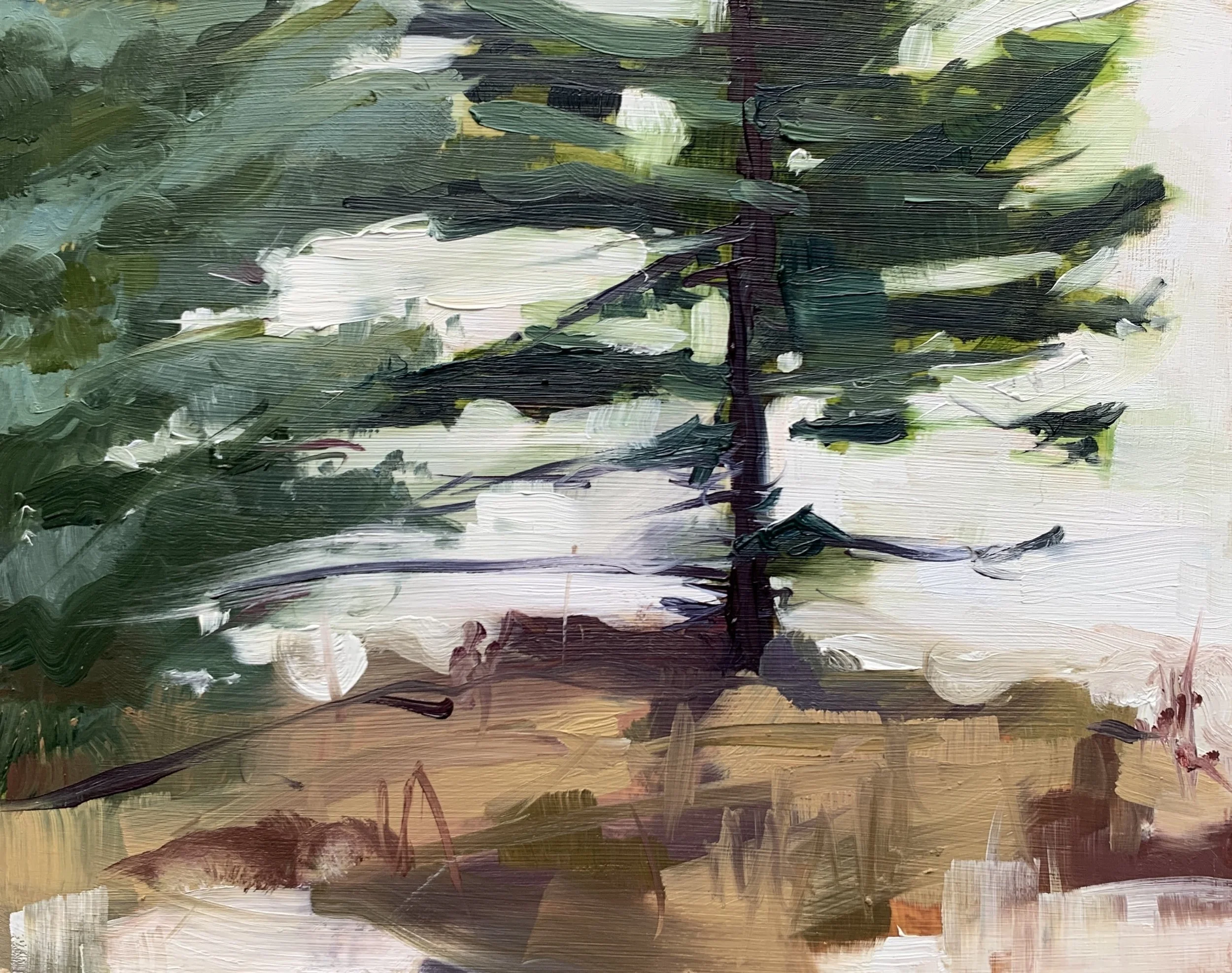 Pines, 8x10, oil on board, $300