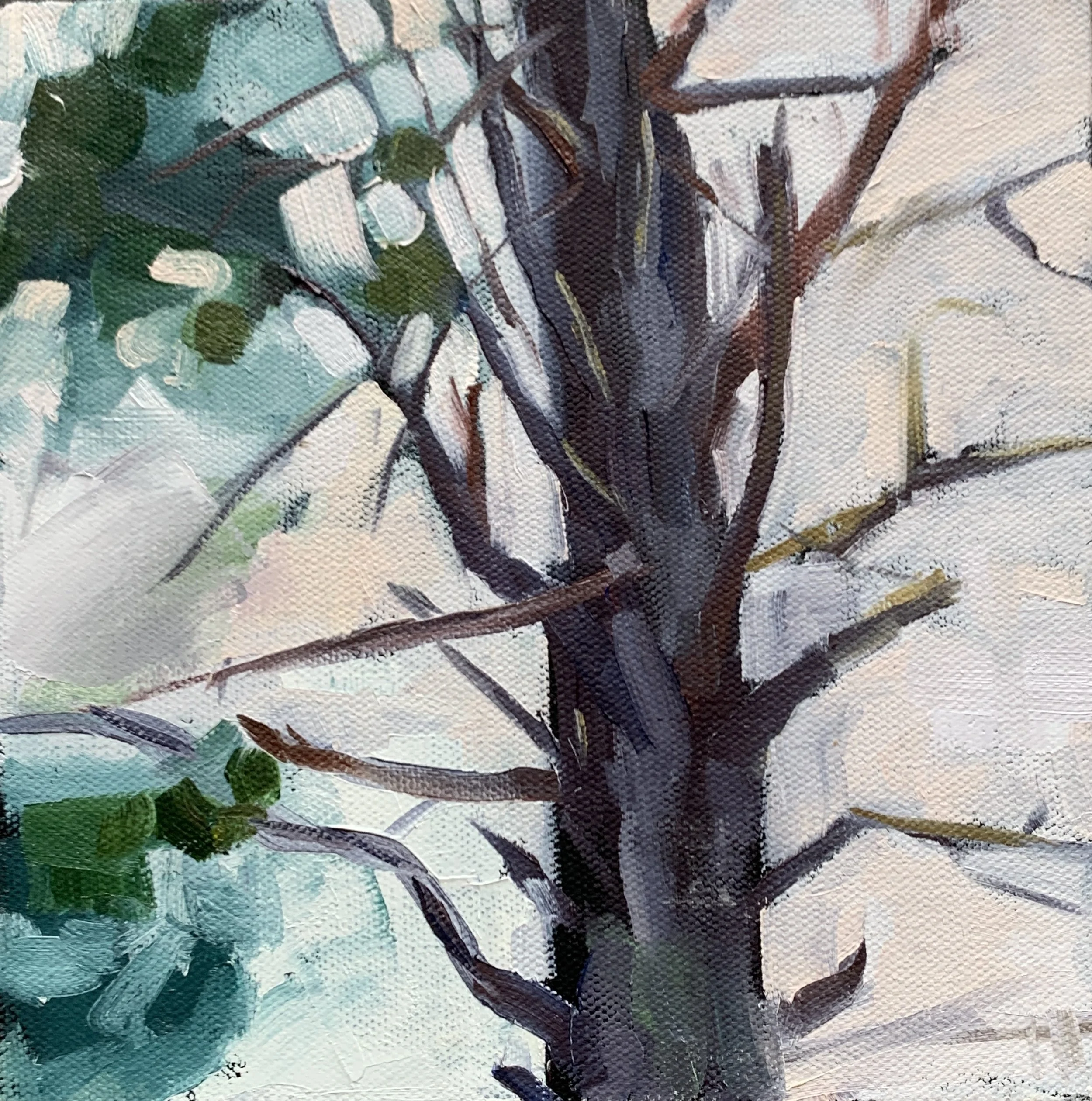 Pine, 8x8, oil on canvas, $275