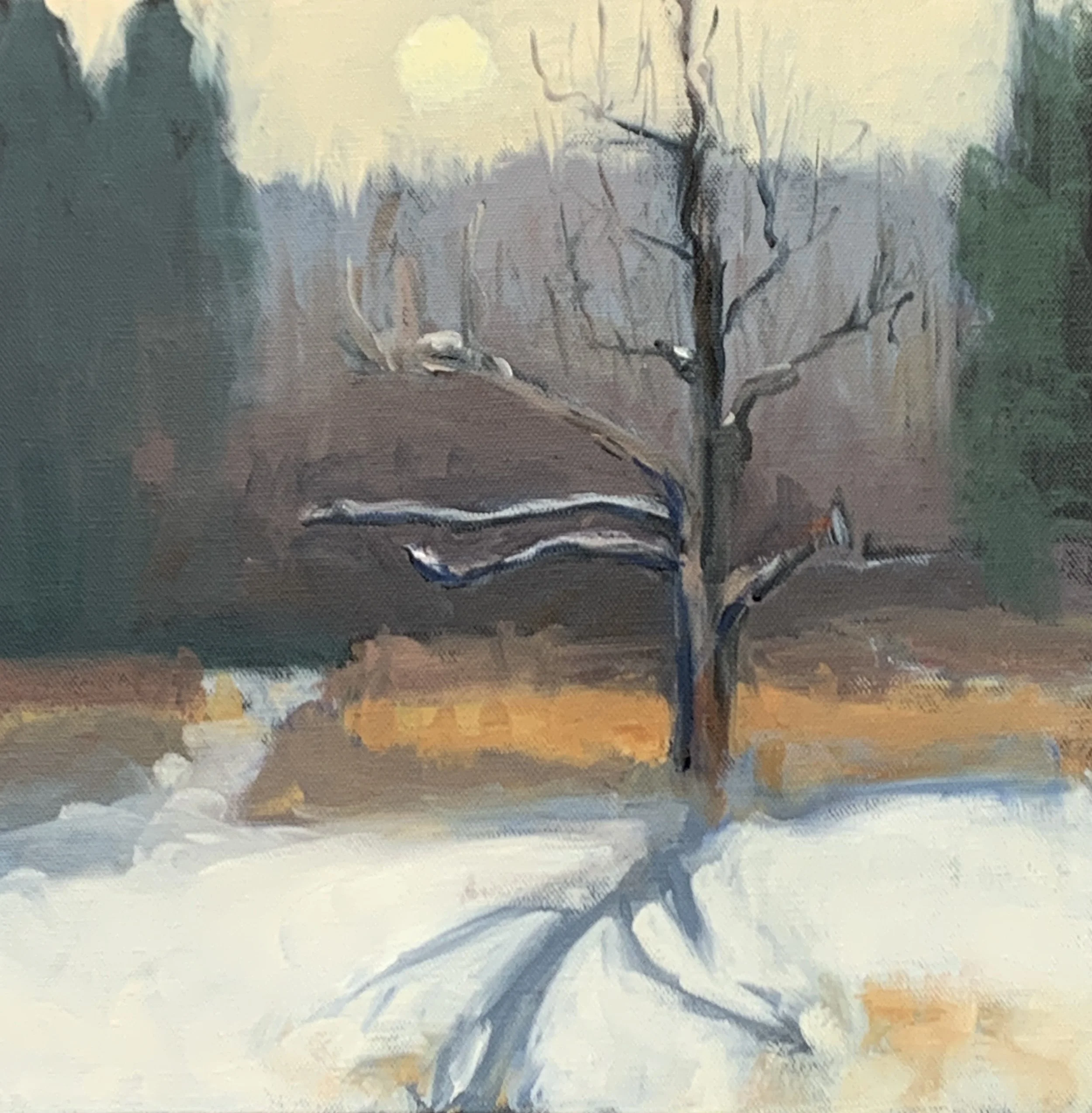 Snow-Sun Day, 12x12, oil on canvas, $600