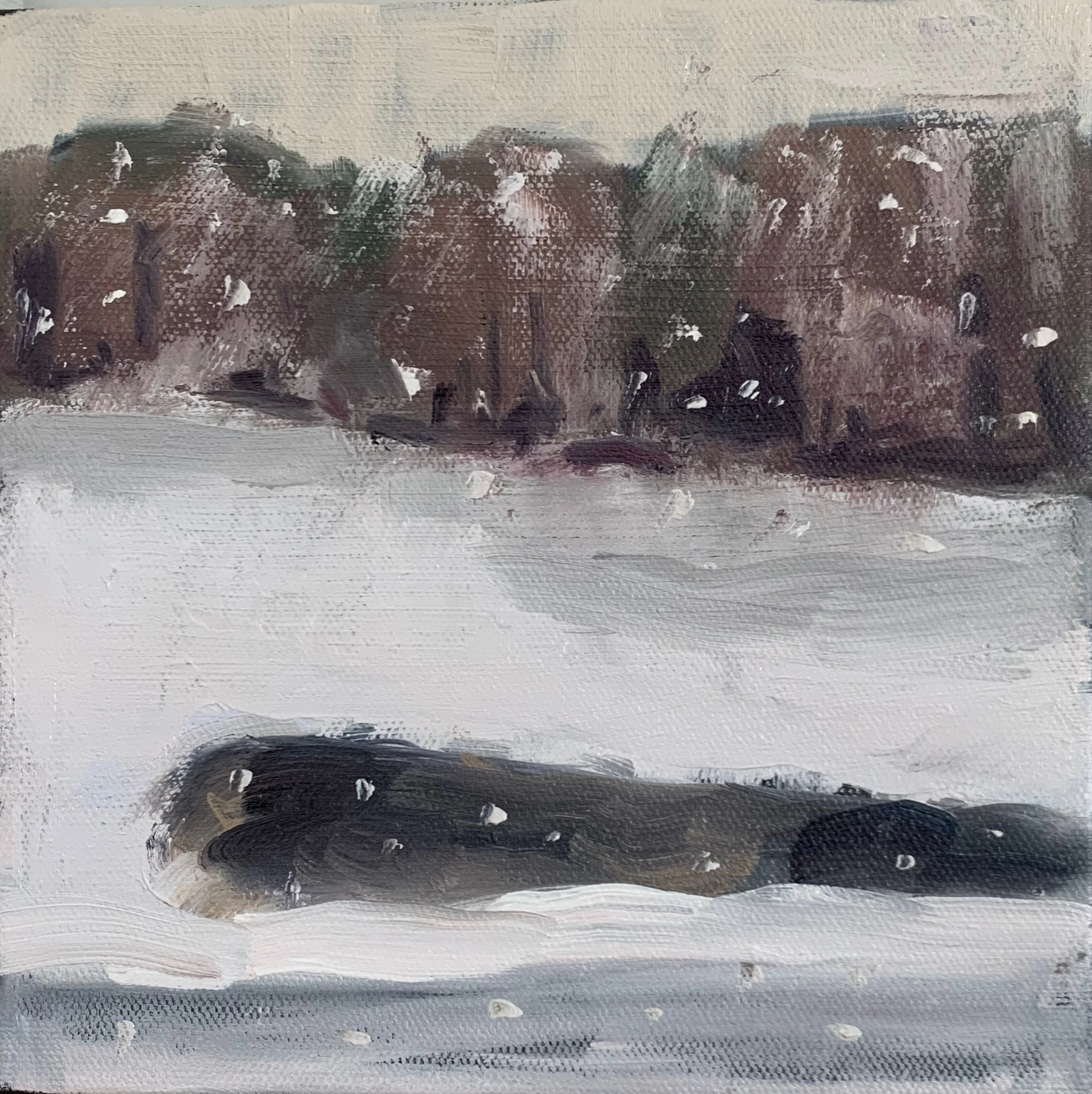 Black Pond, 8x8, oil on canvas, $275
