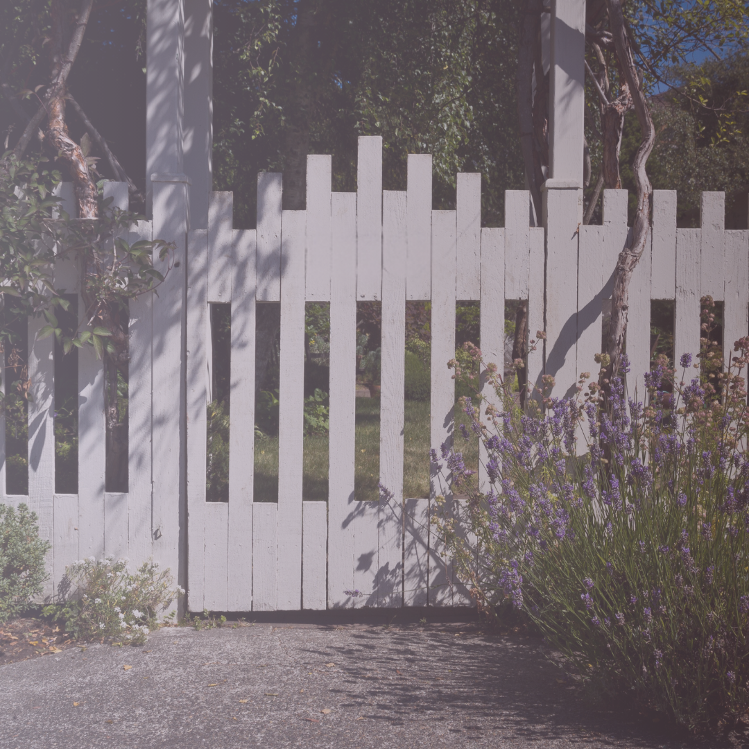 White Picket Fence Book Club Discussion Questions