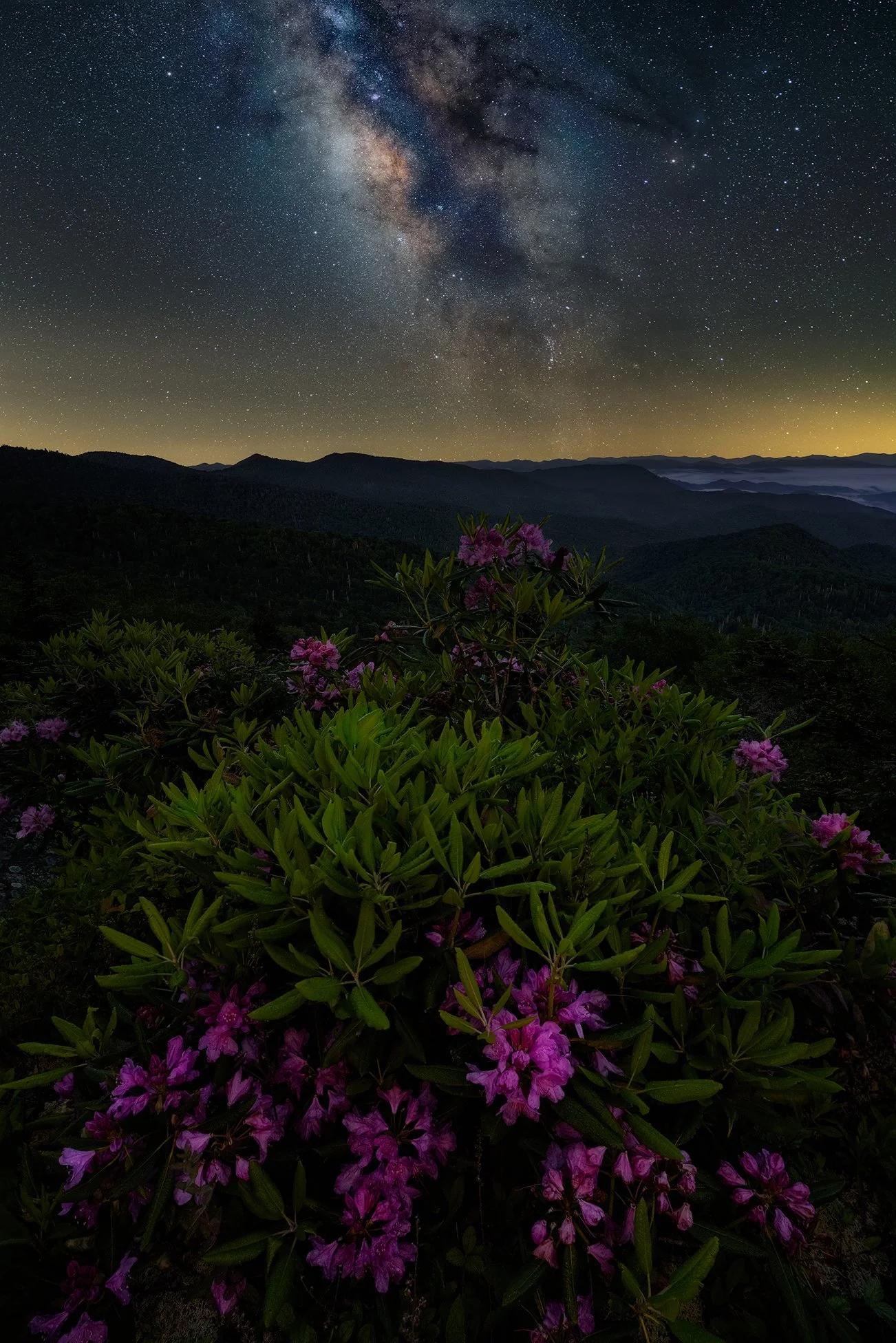 Rhodo_Galaxy copy.jpg