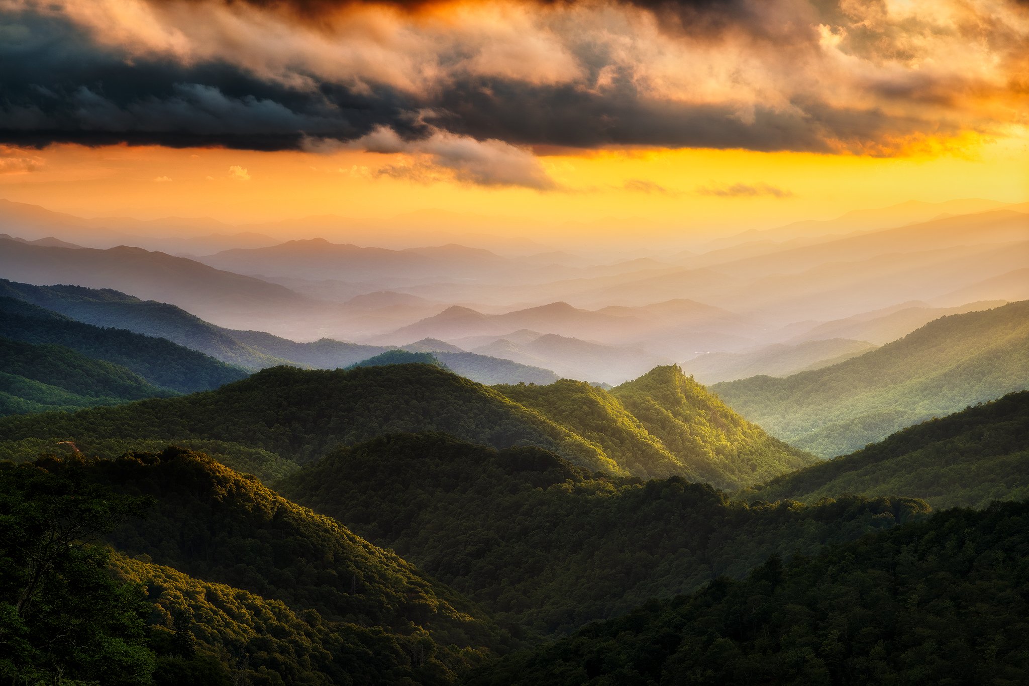 Summer Splendor copy.jpg