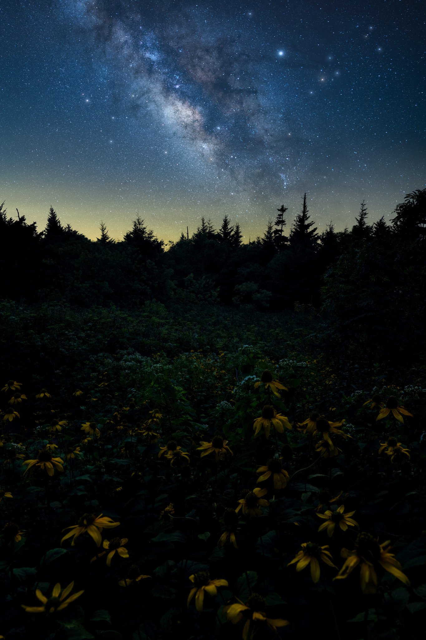 Flower-Galaxy copy 4.jpg