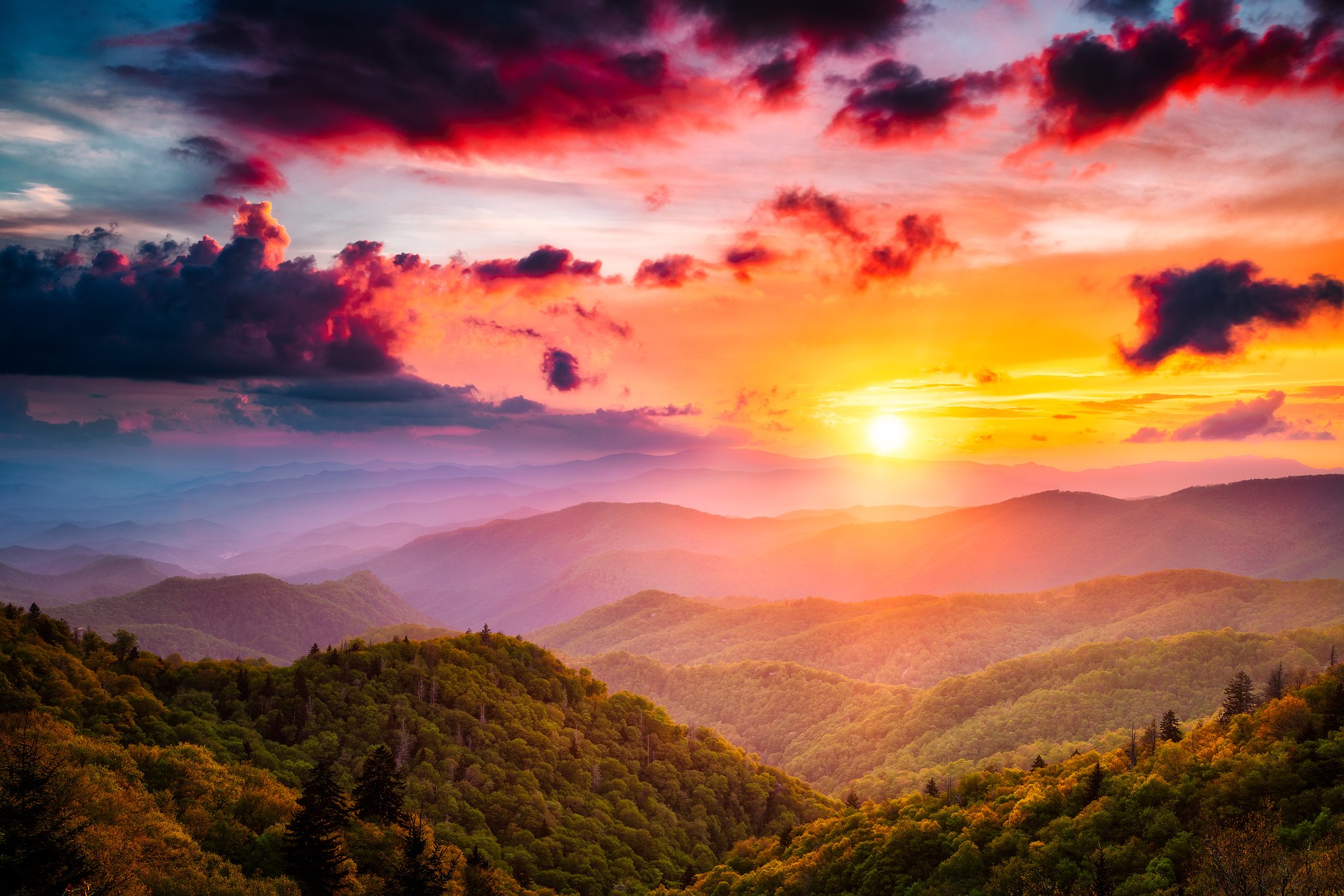 Appalachian-Spring copy.jpg