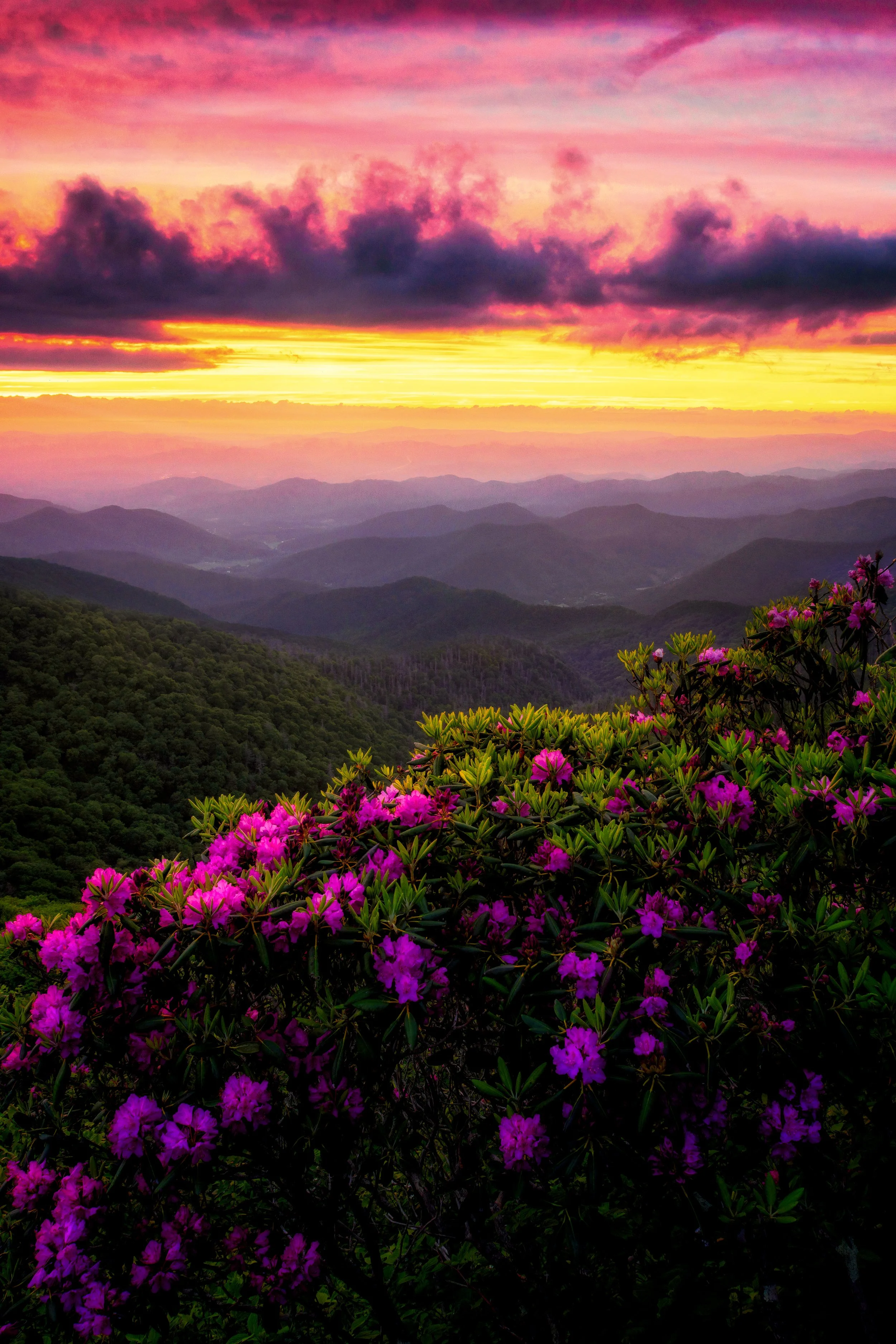 DSC06983-Enhanced copy.jpg