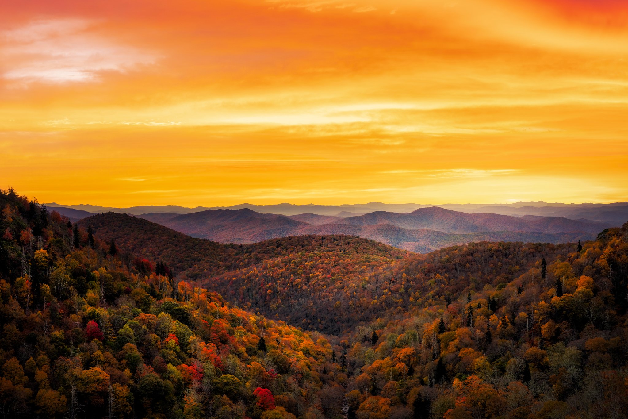 _DSC2121-Edit-Edit.jpg