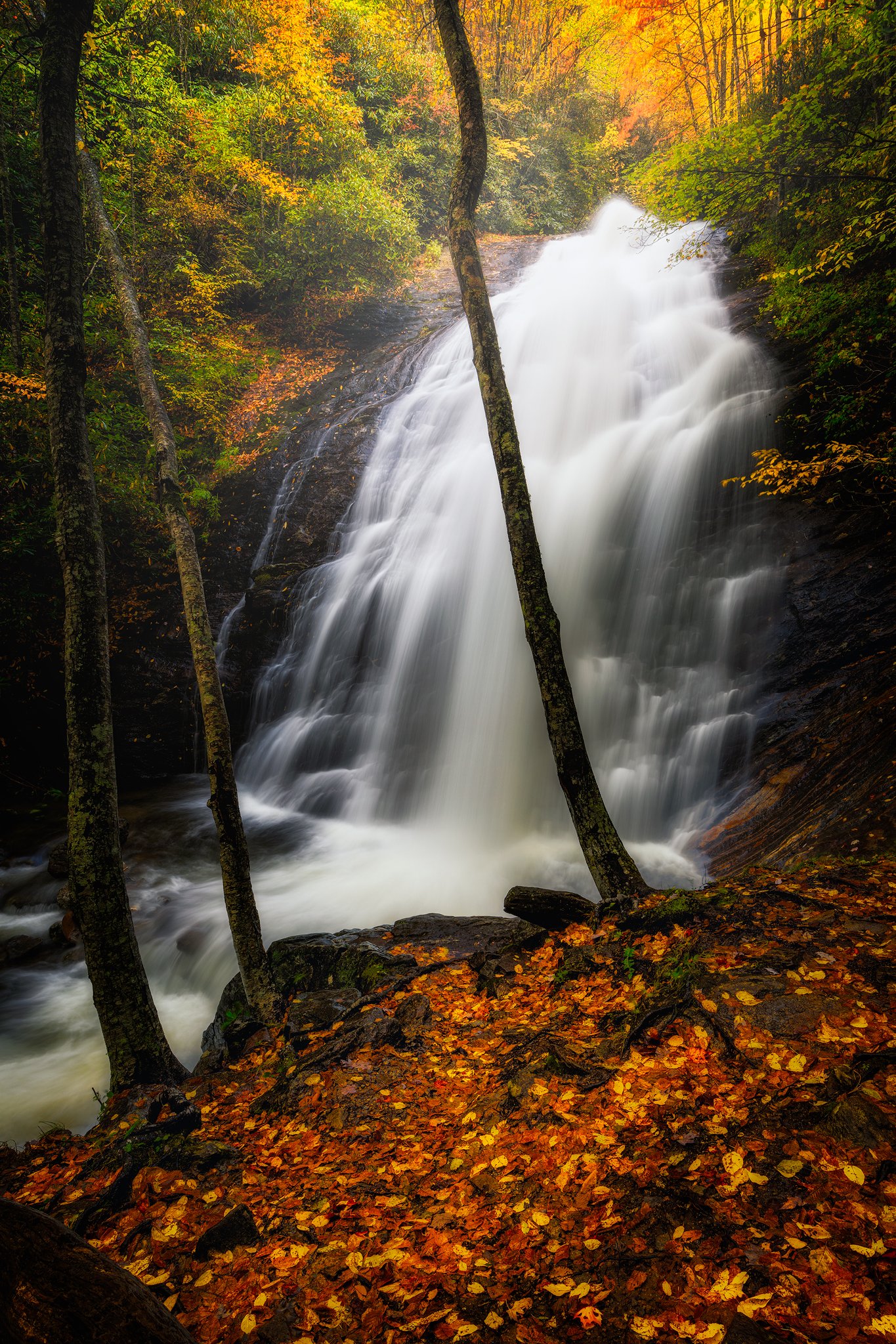 _DSC2854 copy.jpg