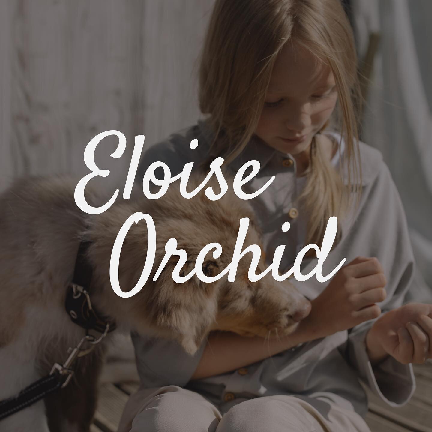 Where Timeless Fashion Meets Youthful Grace ✨

At last, I&rsquo;m excited to reveal the brand identity for Eloise Orchid, an upscale clothing brand for young girls. 

Crafting this project was such a joy, however, we aren&rsquo;t finished yet. Exciti