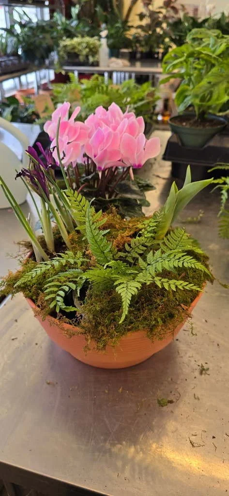 Paul Marmora Designs-  Friday , Jan 30th  at 12am ~ Blooming Dish Gardens