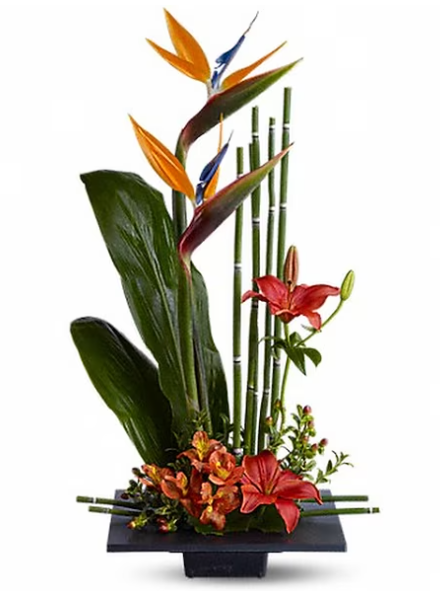 Screenshot 2026-02-17 113138.png