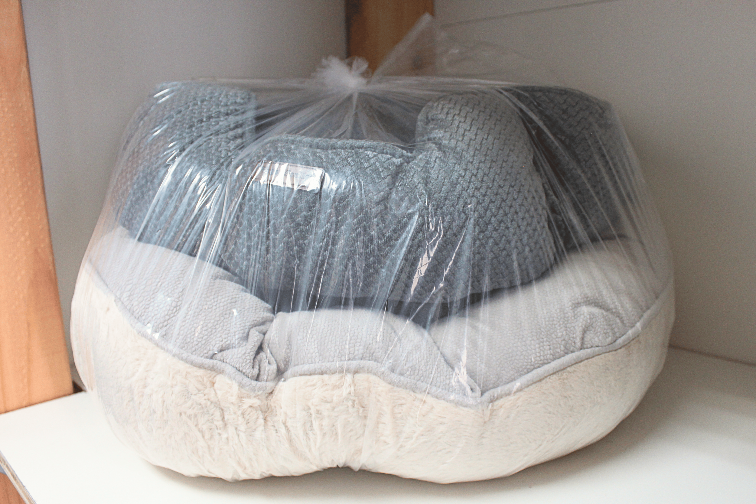 Pet bed.png