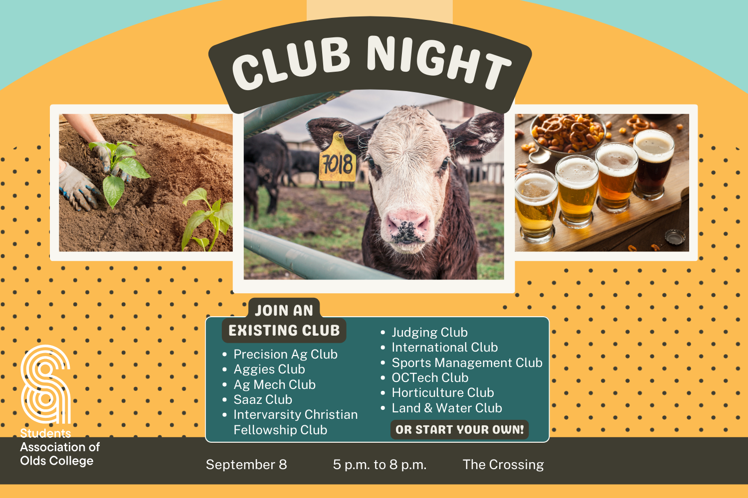 Club Night