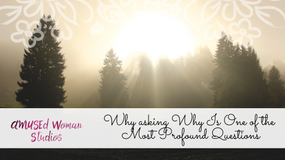 Why asking Why Is One of the Most Profound Questions