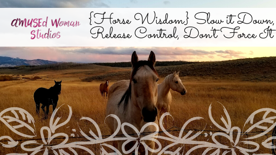 {Horse Wisdom} Slow it Down, Release Control, Don't Force It