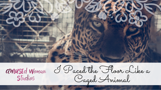 I Paced the Floor Like a Caged Animal