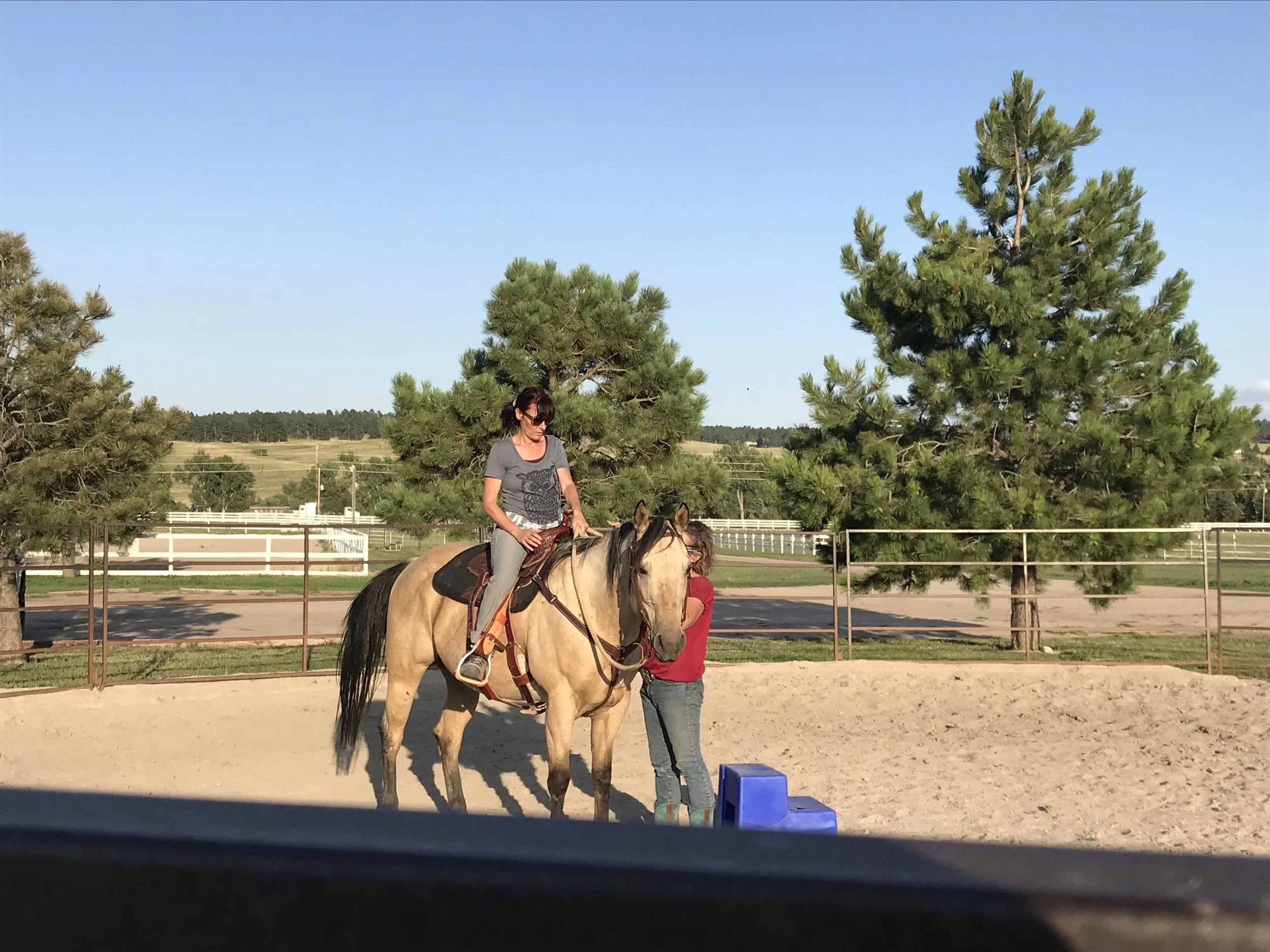 {Horse Wisdom} Good Enough