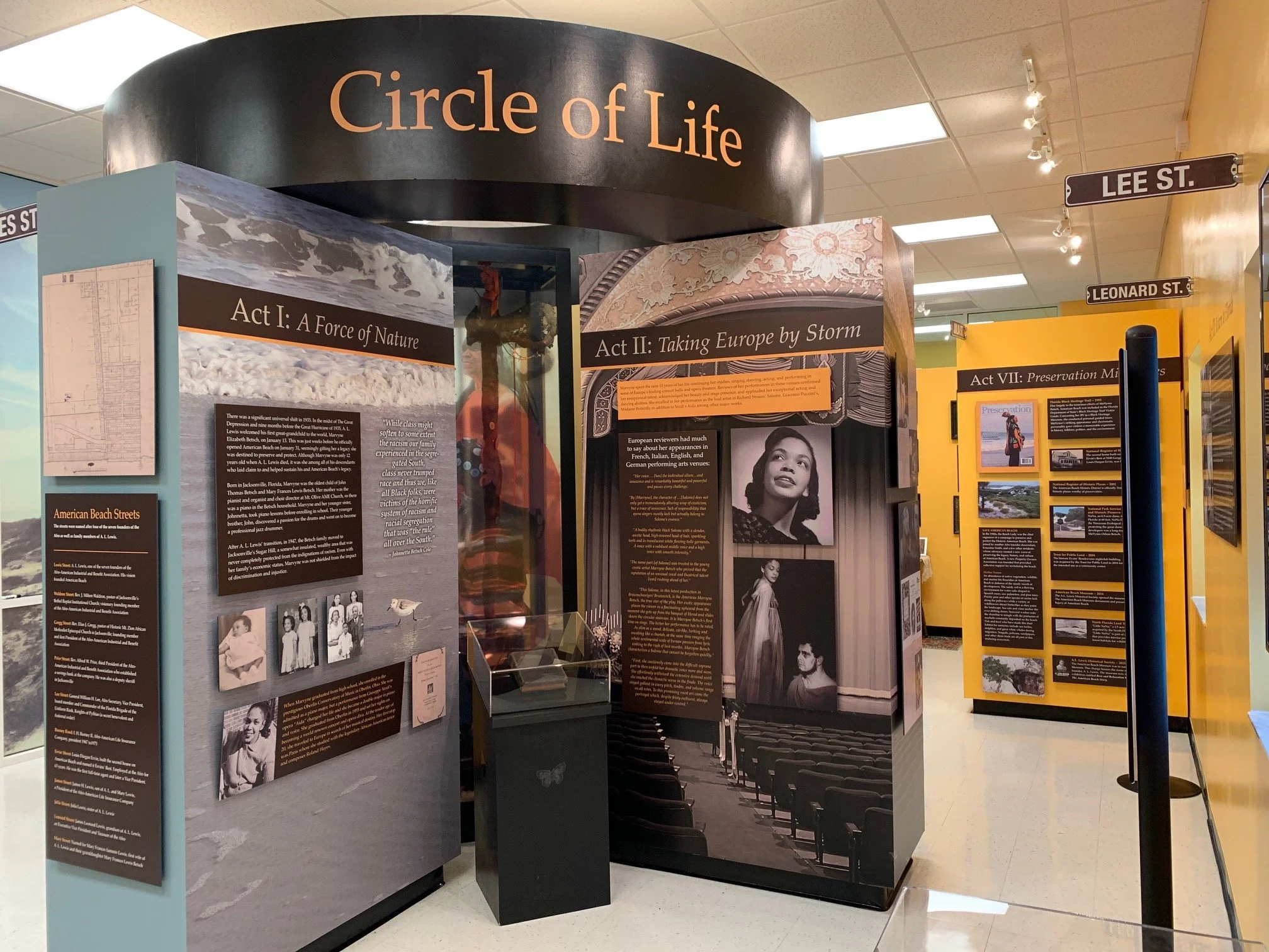 Circle of Life Circle 2.JPG