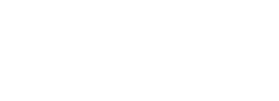 Holland Arts Council