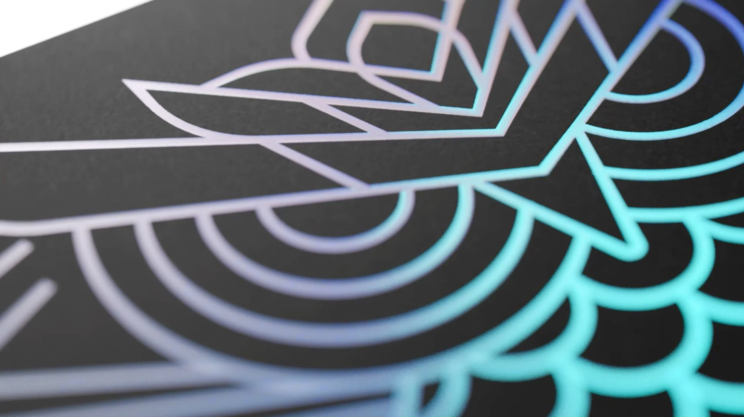 Screen Shot 2021-12-08 at 3.14.49 PM (edited).jpeg