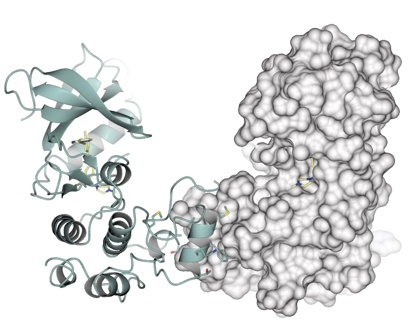 MEKK2 kinase domain in complex with ponatinib