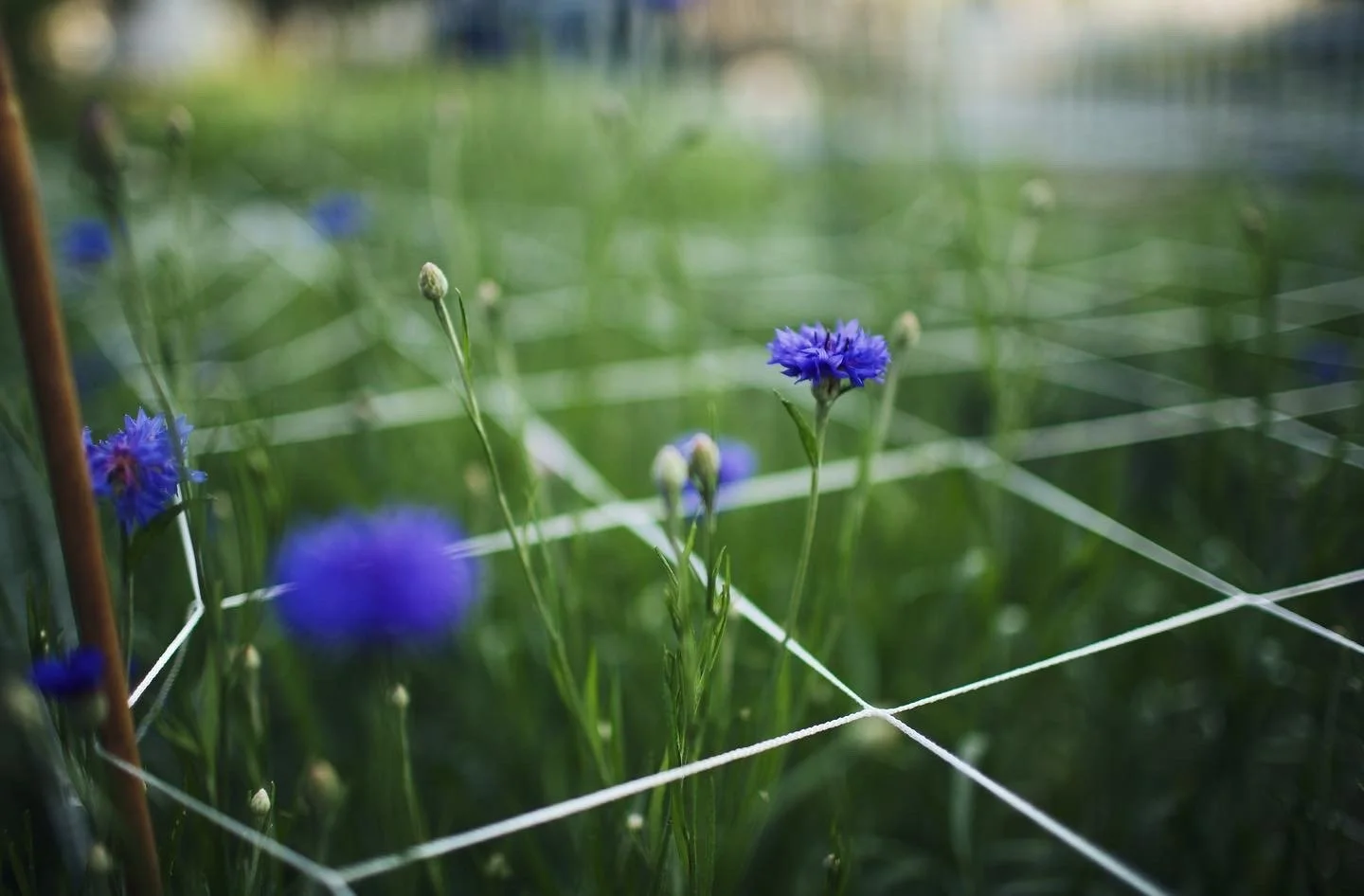 A7B33F32-AF7A-4875-AB67-0C03AA6BAA38 (1).jpg